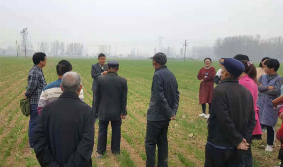 江南官方网站小麦育种实践基地负责人王世杰对村民进行现场指导